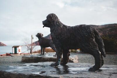 Plaque funéraire cœur animal comment en faire le bon choix